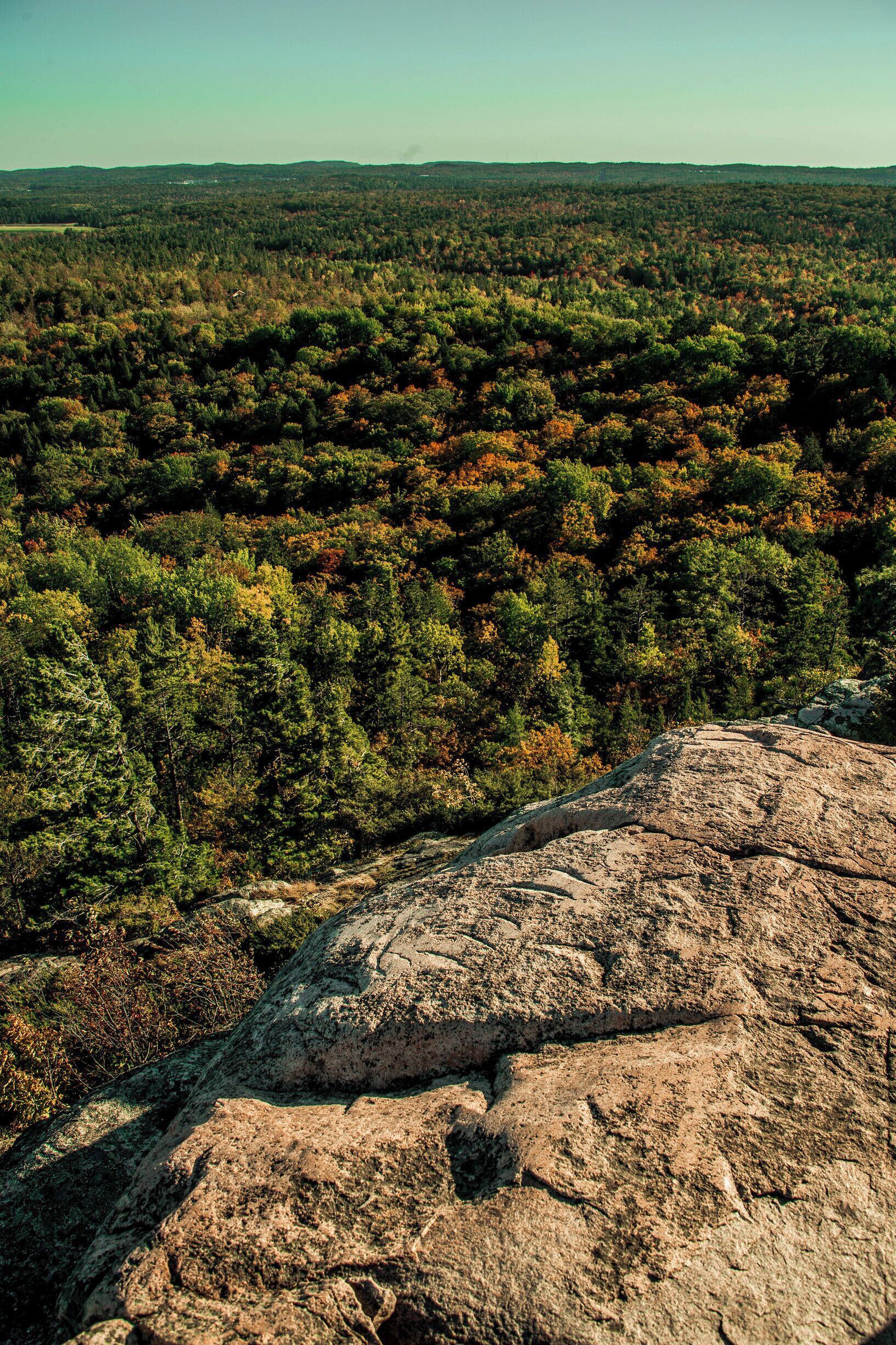 Views😎🌄
#BVStrove