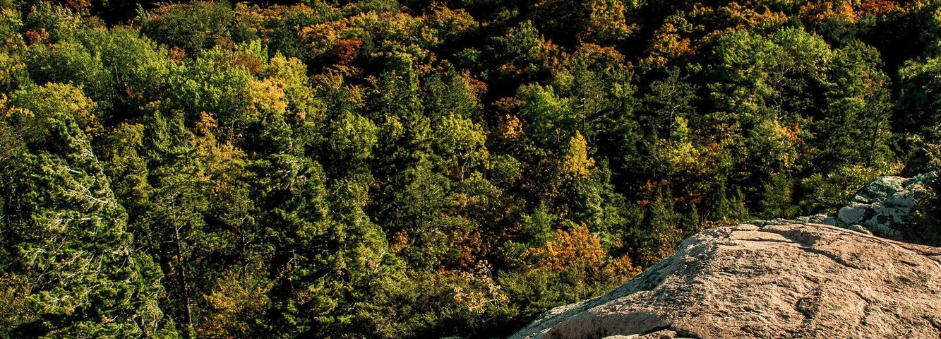 Views😎🌄
#BVStrove