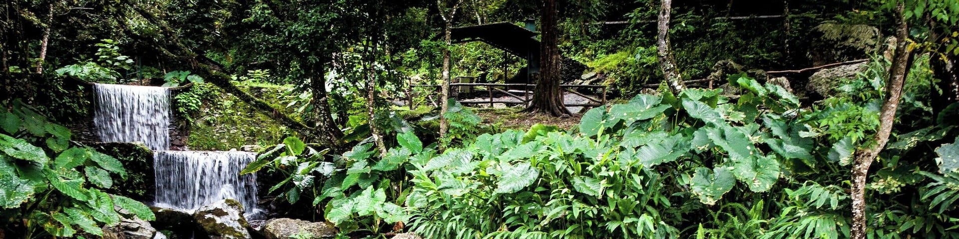 This is a beautiful place in my home country, Venezuela. This day was very special for me and this photo reflects that. Everytime I see it I get homesick. Venezuela's nature is marvelous. #Reflections