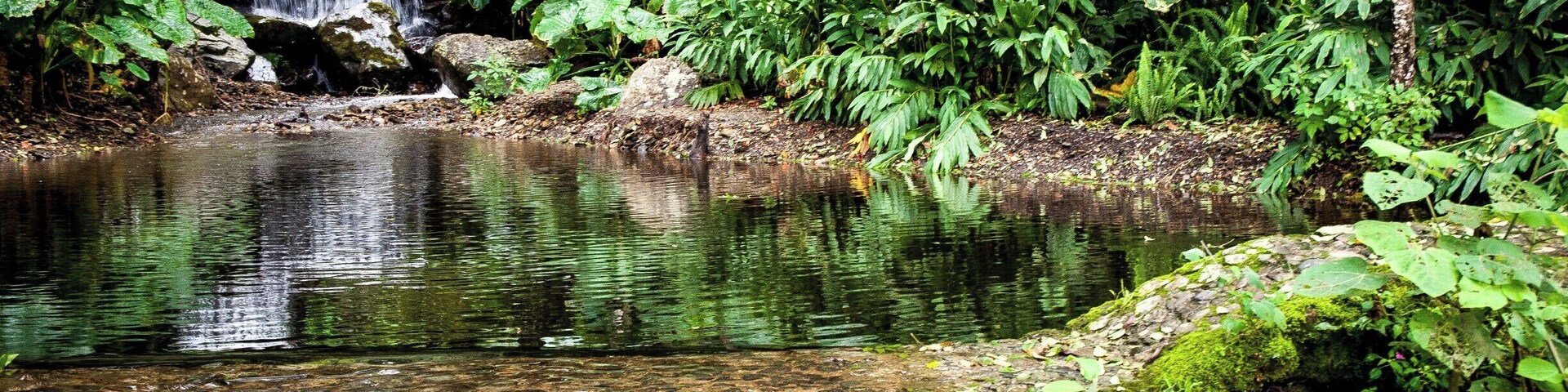 This is a beautiful place in my home country, Venezuela. This day was very special for me and this photo reflects that. Everytime I see it I get homesick. Venezuela's nature is marvelous. #Reflections