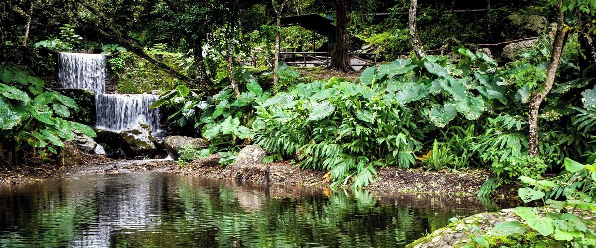 A waterfall cascading over rocks into a pond surrounded by lush greenery.