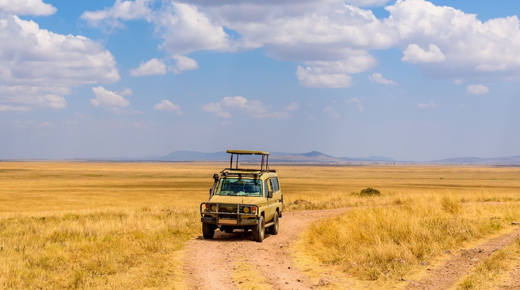 Safari tourists on game drive with Jeep car in Serengeti National Park in beautiful landscape scenery, Tanzania, Africa
