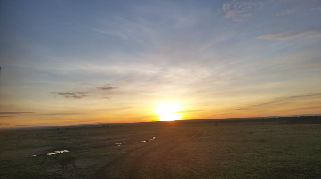 0_fce3c2f4-ea91-49d2-a5ed-1a1df2a65f8b_raw