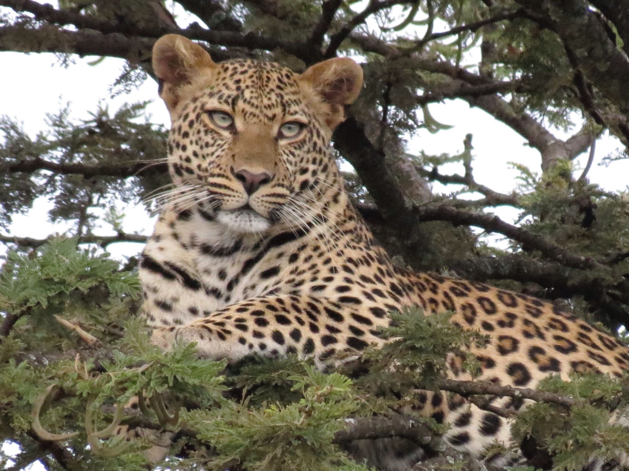 Loved it!!!! And great tip for our guide