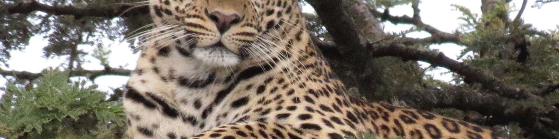 Loved it!!!! And great tip for our guide