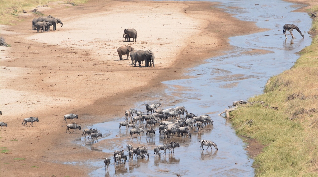 So soft like a watercolour painting