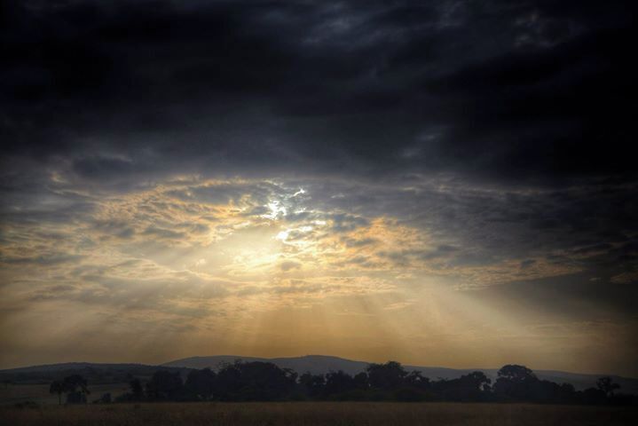 #goldenhour

Anytime in Kenya's Maasai Mara is amazing, but after a day of long game drives when you are returning to camp, stop every so often and take in the stunning views of the landscape as the sun is setting against the acacia trees.
