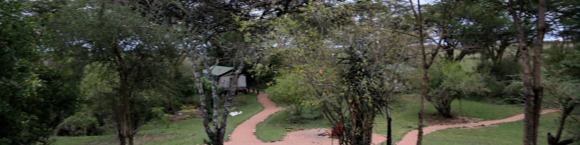 This is early morning looking from the "main tent" where you have dinner etc out on the grounds of Porini Mara camp. You can see one of the 8 tents on property down below. This really is not roughing it the tents are full on glamping with real beds etc.