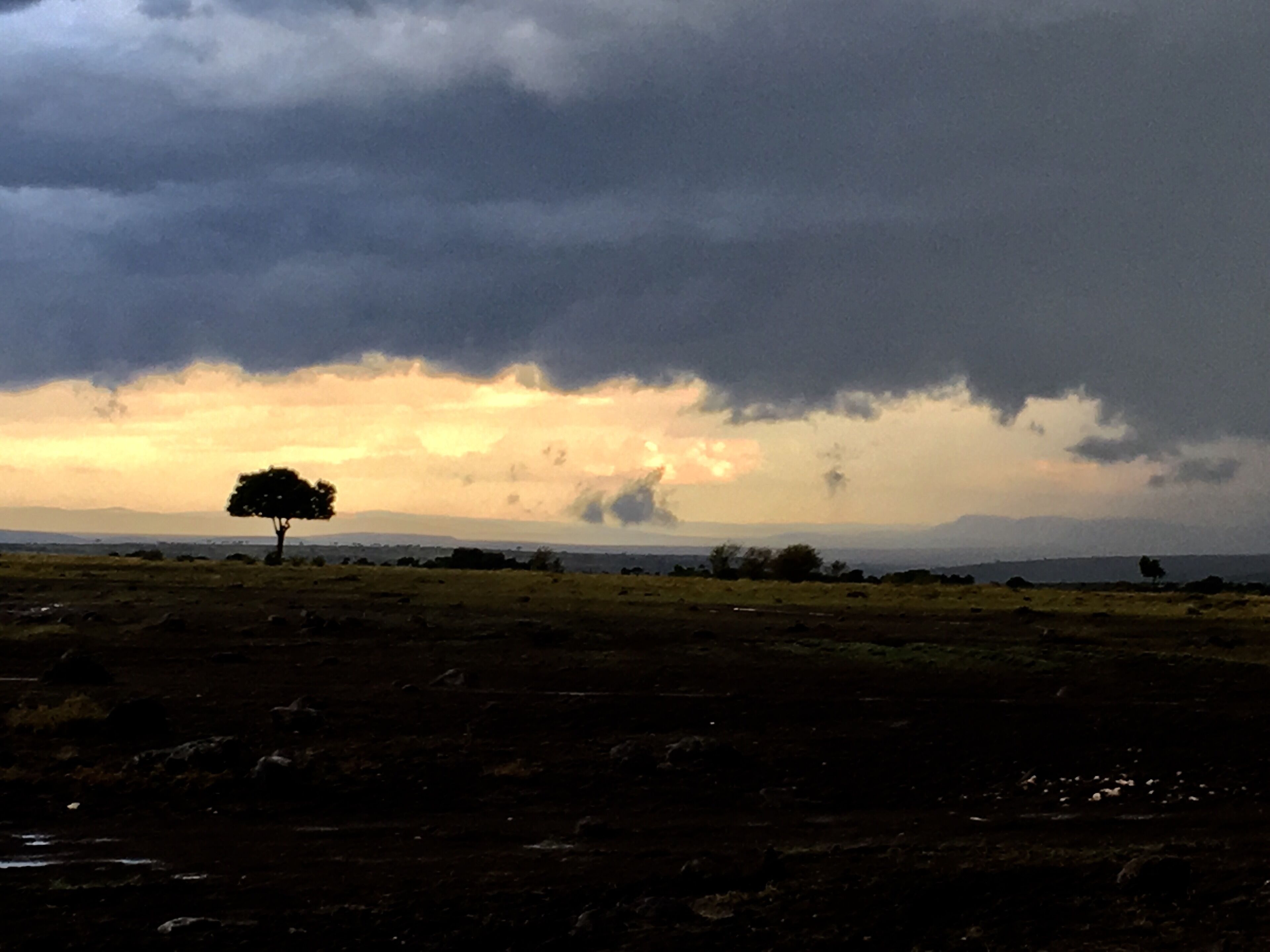 Storm brewing