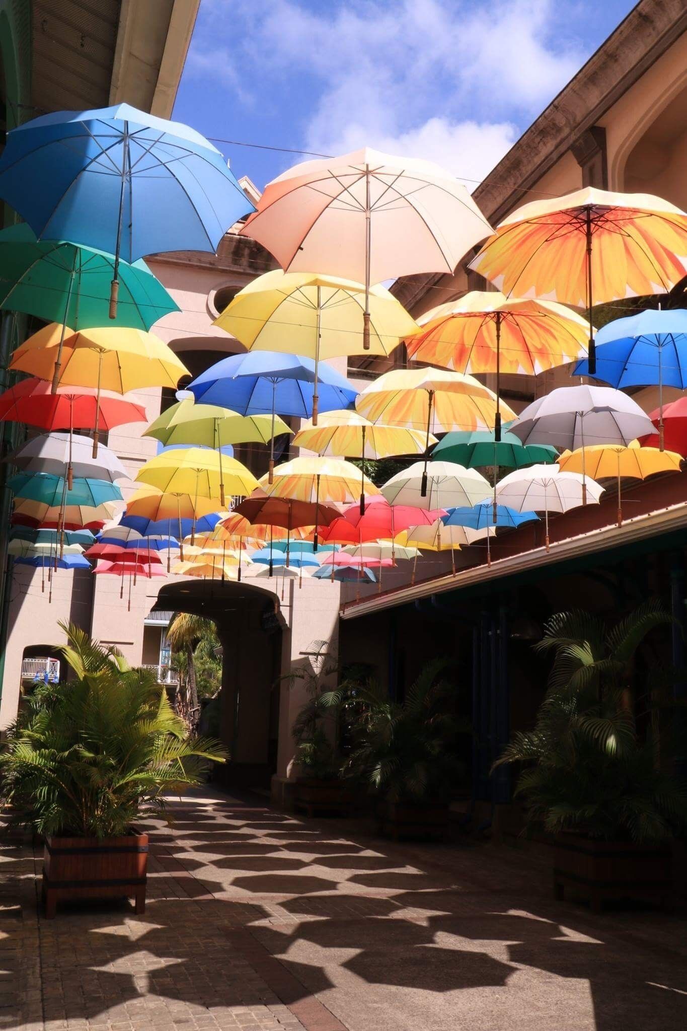 The "roof" at the Caudan Waterfront in Port Louis, Mauritius! #stunningstructures #umbrellas #mauritius