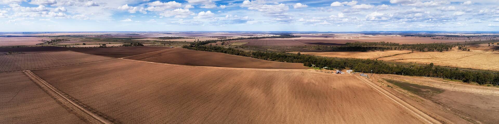 D Moree Plowed Brown Pan