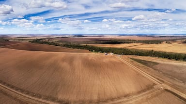 D Moree Plowed Brown Pan