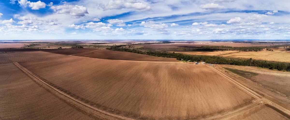 A vast agricultural landscape with expansive fields, a winding road, and scattered trees.