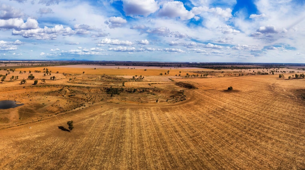 D Moree Cropped farmland wide pan