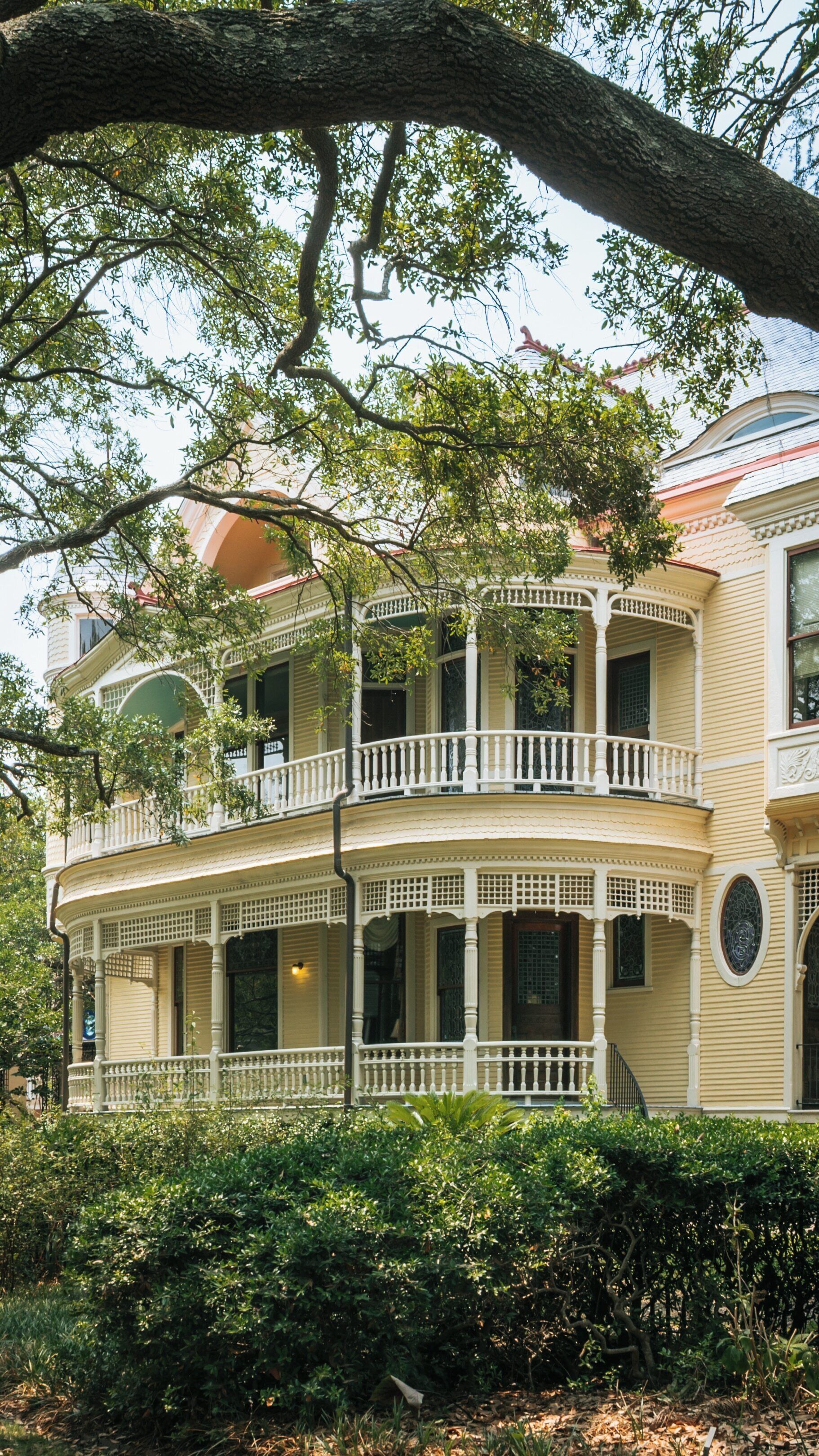 College of Charleston building in historic district showcases Southern architectural beauty under tree canopy