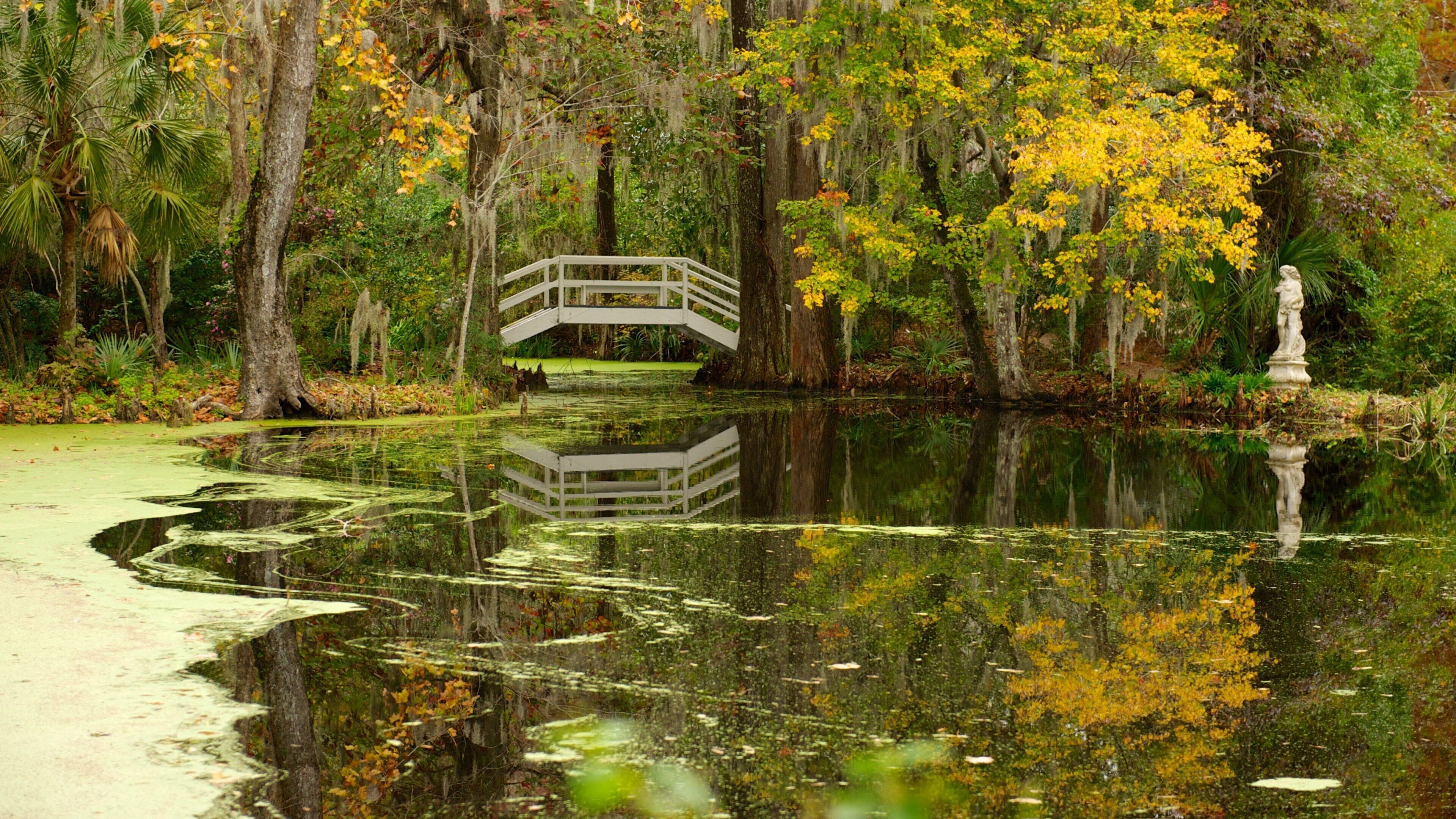 Magnolia Plantation and Gardens which includes landscape views, a garden and a pond