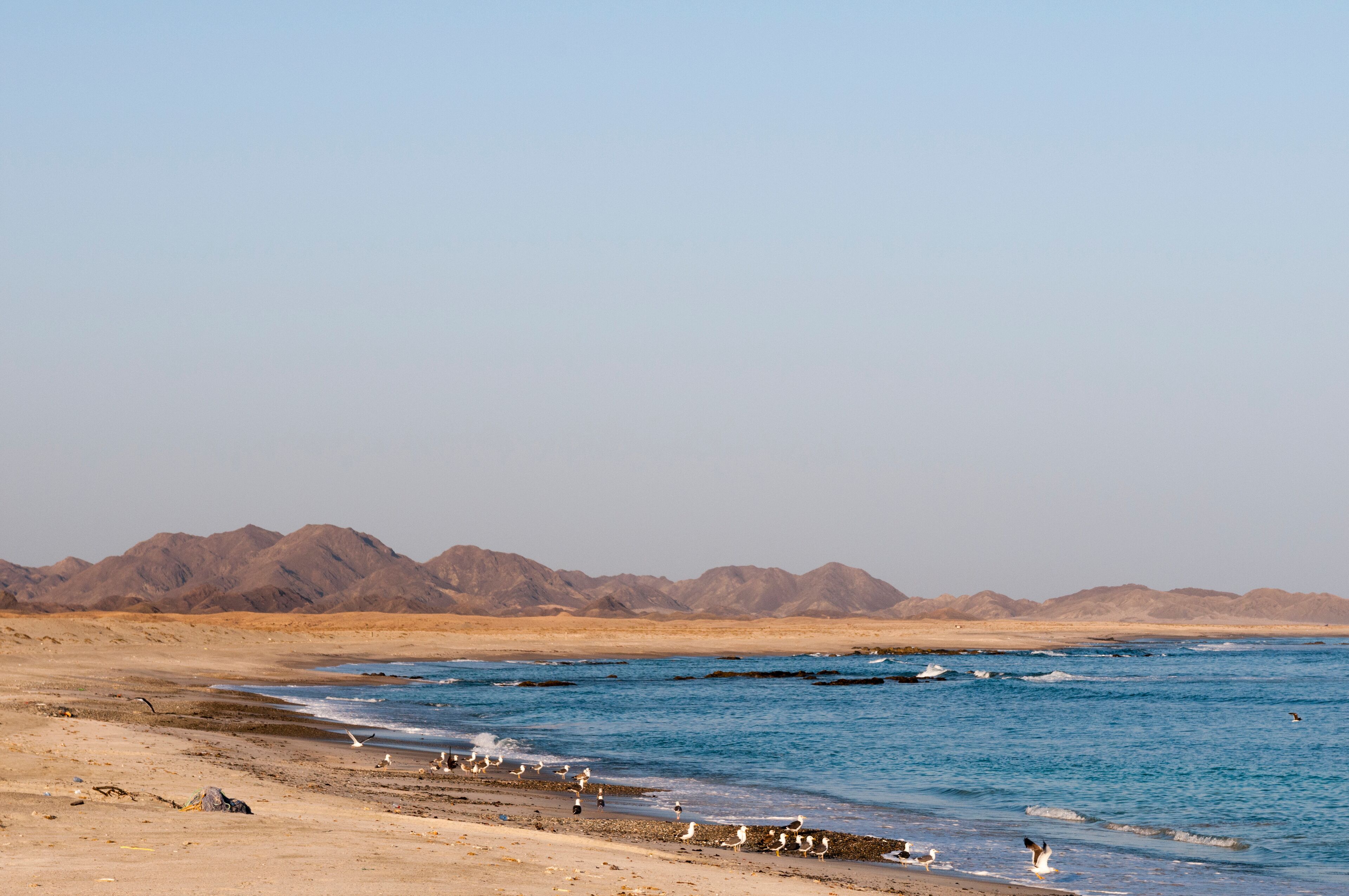 Masirah island, Oman.