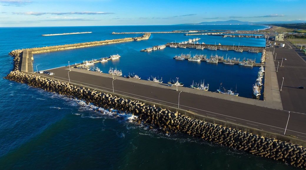 Japanese fishing port