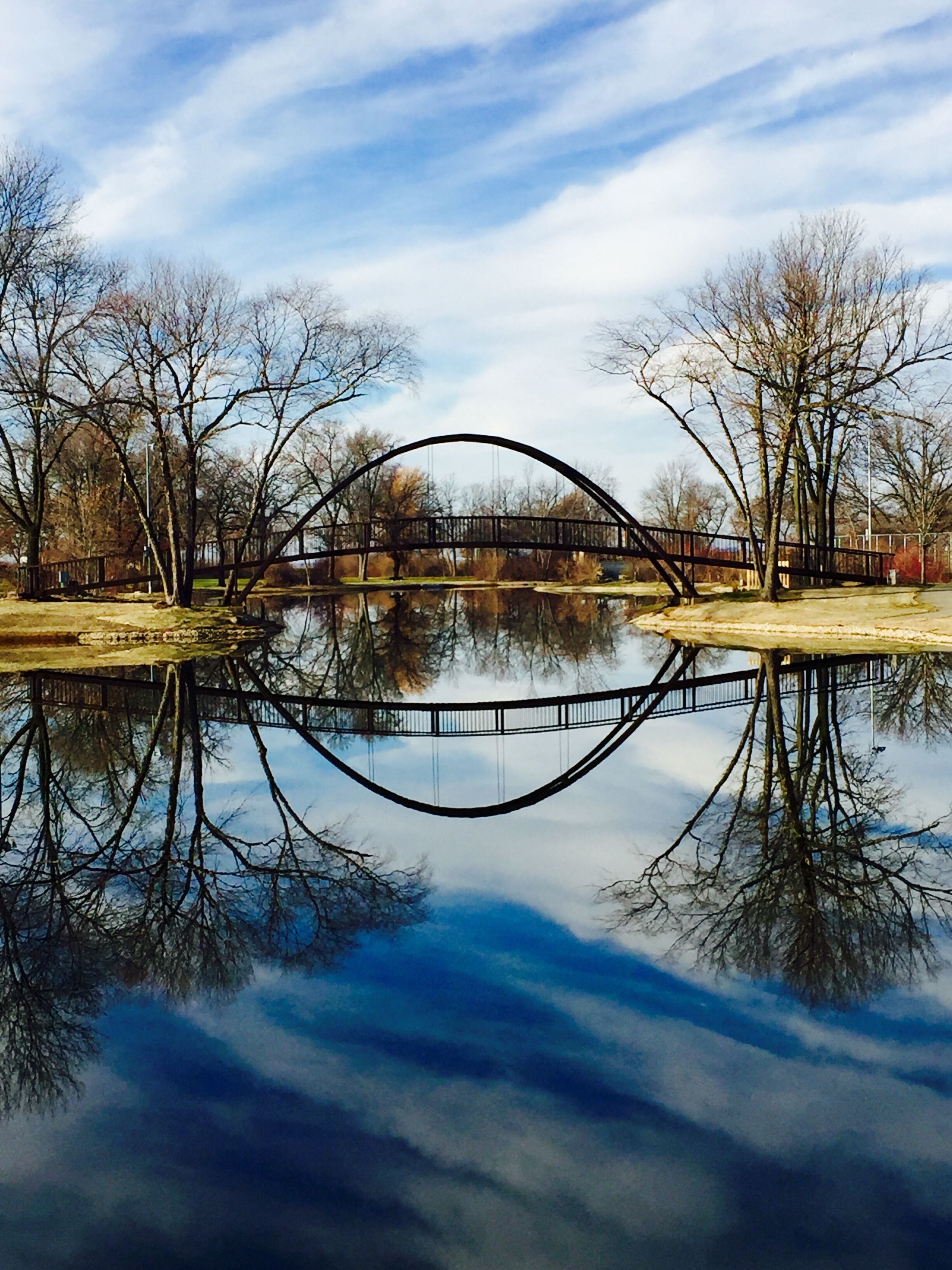 #trovember this was taken on a warm late fall day after the leaves had fallen
