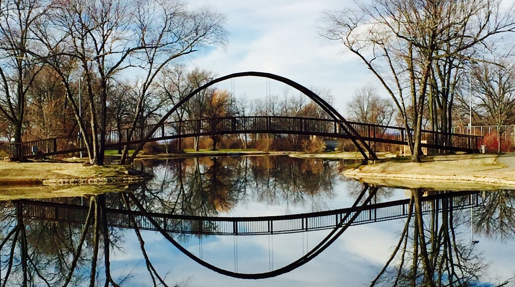 #trovember this was taken on a warm late fall day after the leaves had fallen