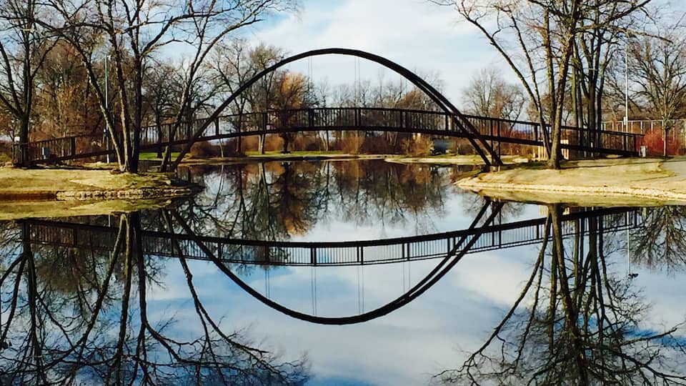 #trovember this was taken on a warm late fall day after the leaves had fallen