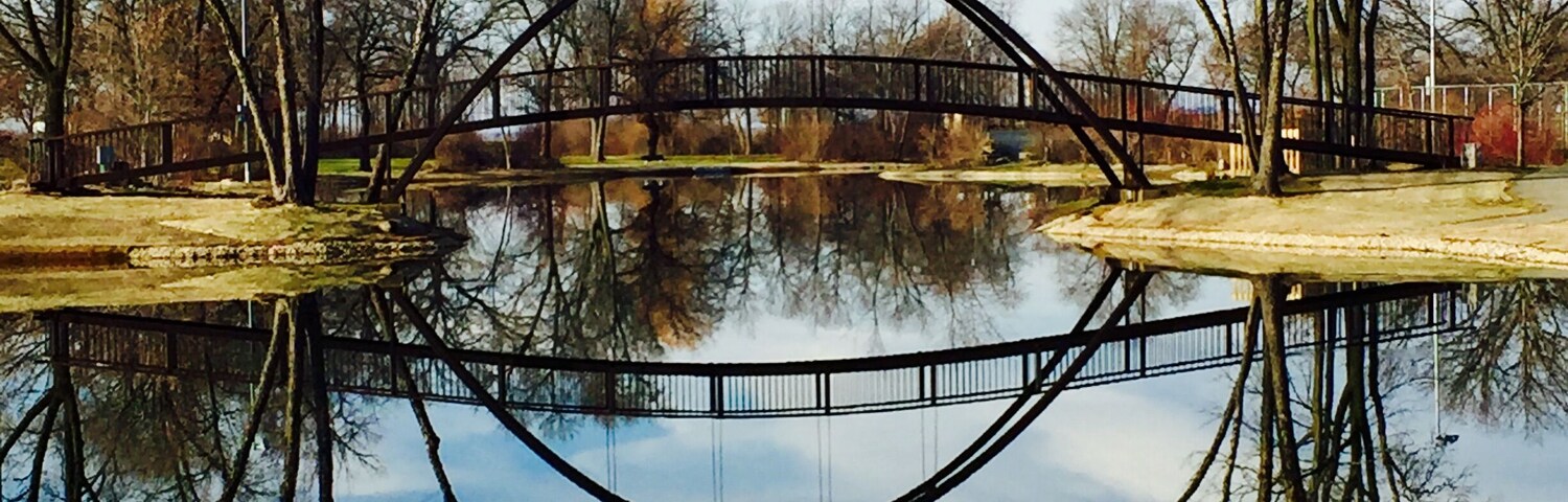 #trovember this was taken on a warm late fall day after the leaves had fallen