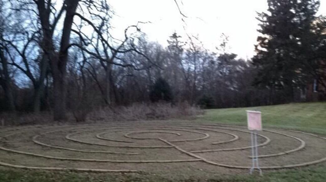 Happy accidental find on my afternoon walk - a walking labyrinth for prayer/meditation. Nice break.