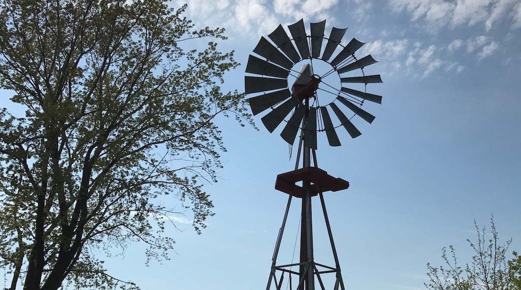 #springfun beautiful zoo