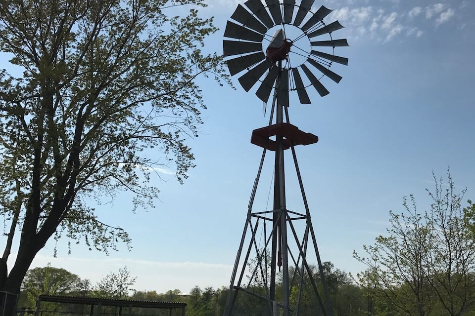 Un molí de vent amb una estructura metàl·lica i una base vermella, envoltat d'arbres i una zona delimitada per una tanca.