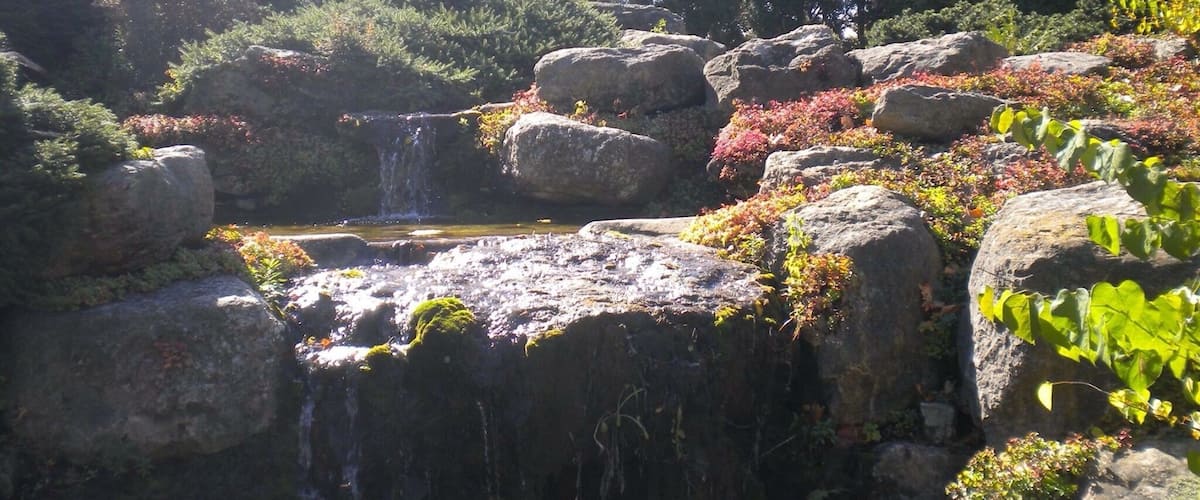 Beautiful gardens any time of the year