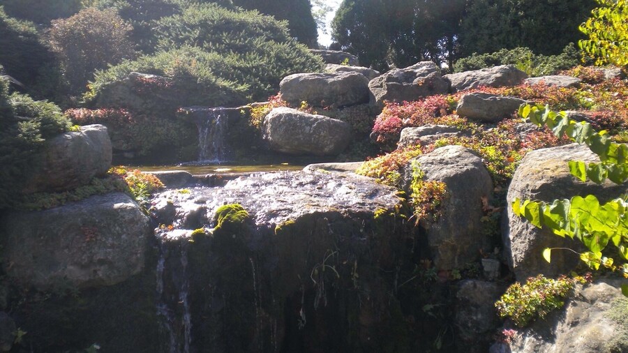 Beautiful gardens any time of the year