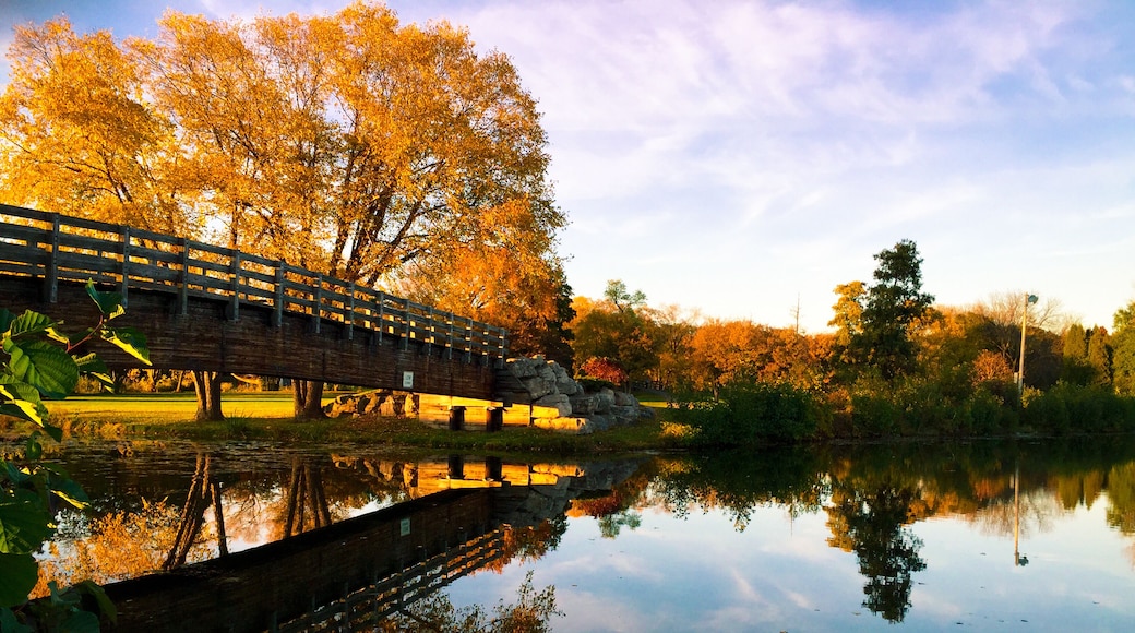 Lovely fall day! Madison has some of the best parks! This one comes with a year round free zoo!