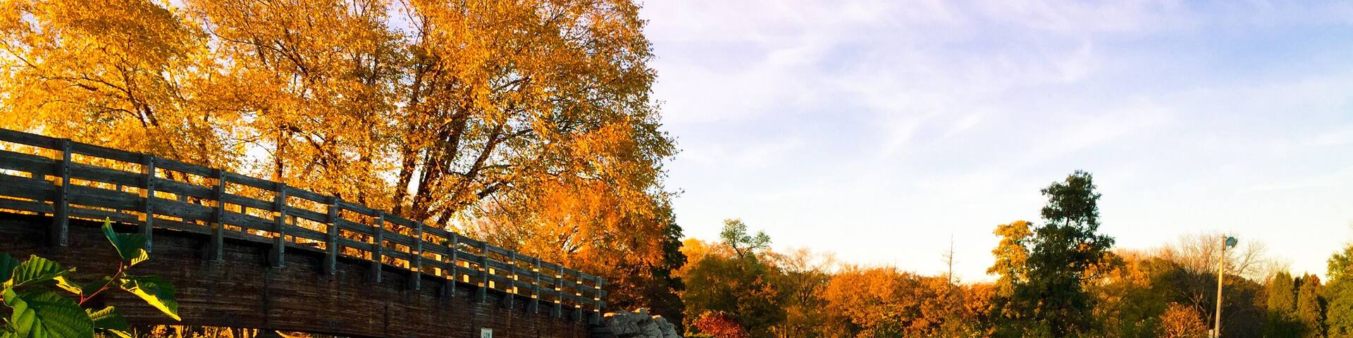 Lovely fall day! Madison has some of the best parks! This one comes with a year round free zoo!