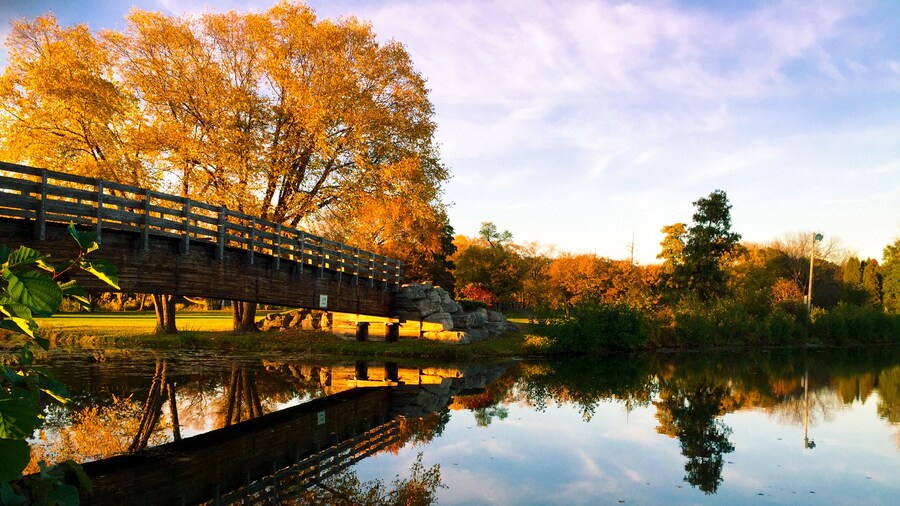 Lovely fall day! Madison has some of the best parks! This one comes with a year round free zoo!