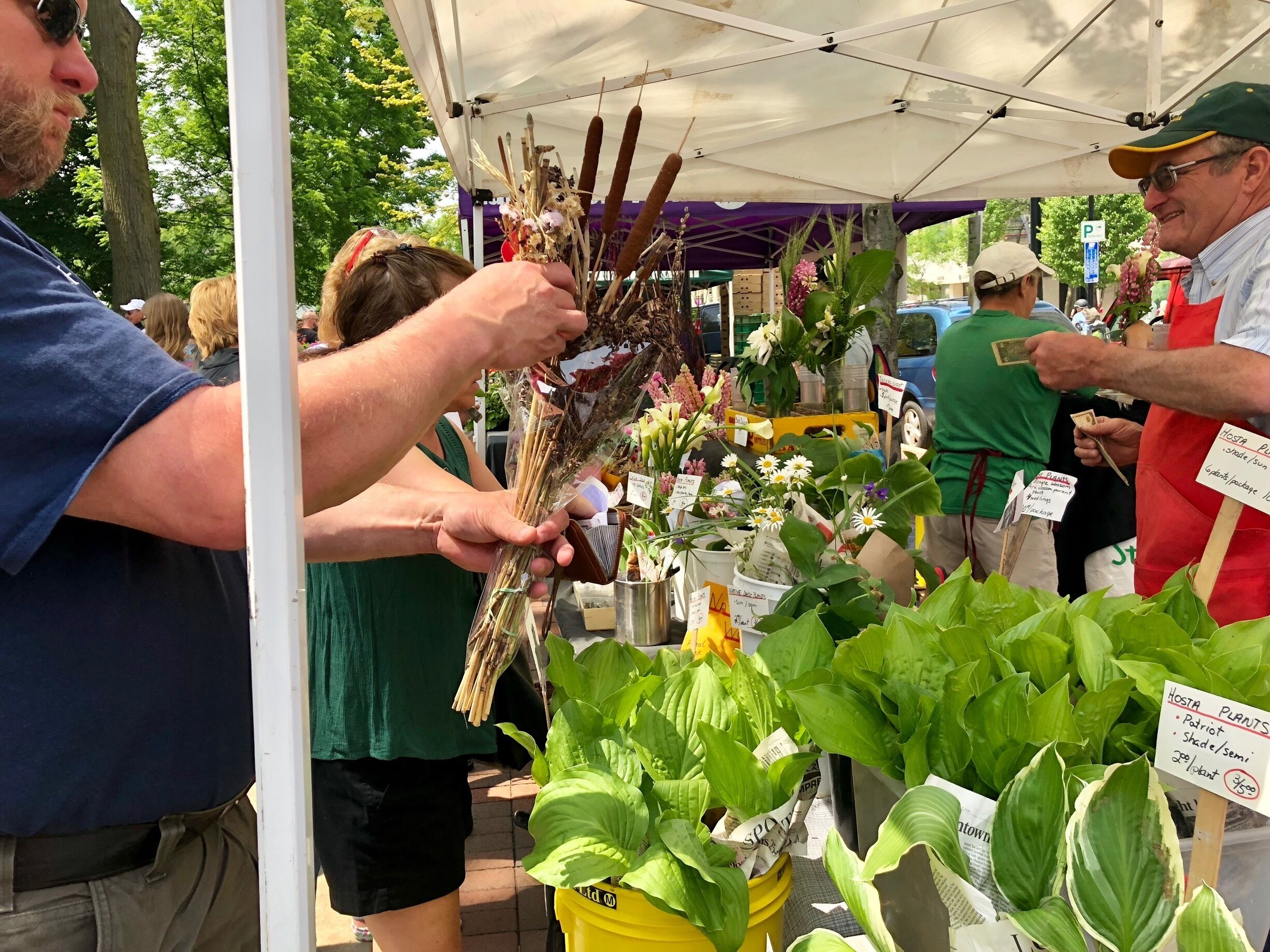 Flea market surrounding the Capitol building, so much activity and character in every Saturday! There is something for everybody, I guarantee you won’t regret walking around Madison’s flea market :)