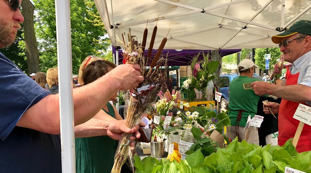 Flea market surrounding the Capitol building, so much activity and character in every Saturday! There is something for everybody, I guarantee you won’t regret walking around Madison’s flea market :)
