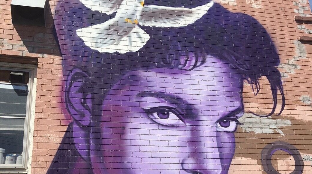 Prince mural in Minneapolis!