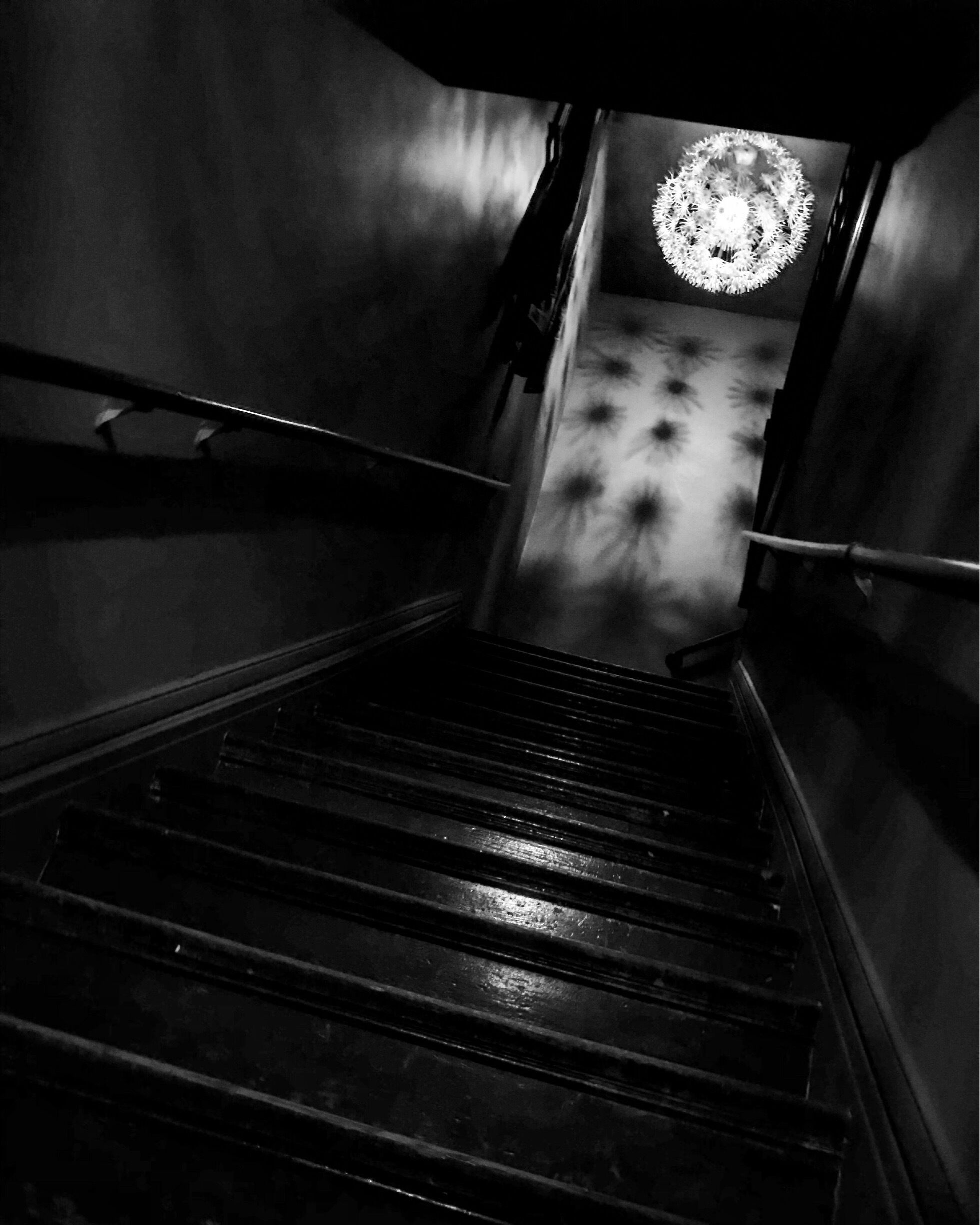 Checking out the scene, but curious to know what is upstairs.