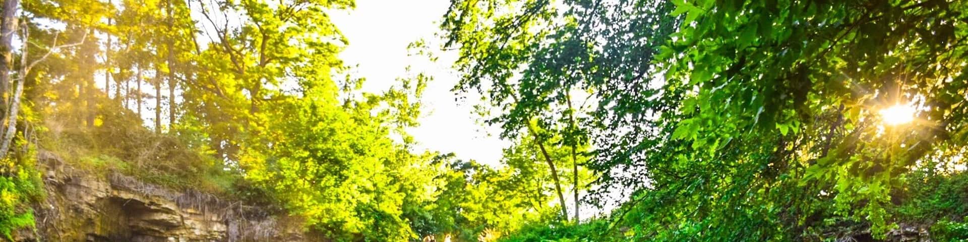 Waterfall oasis outside #minneapolis #minnesota #waterfall #nature #green #river #minnehaha