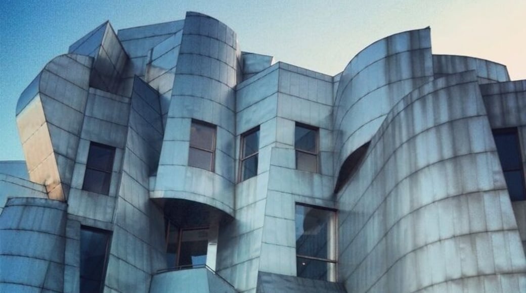 The Weisman Art Museum on the U of M campus, overlooking the Mississippi River. Designed by Frank Gehry. www.bradleyhanson.com