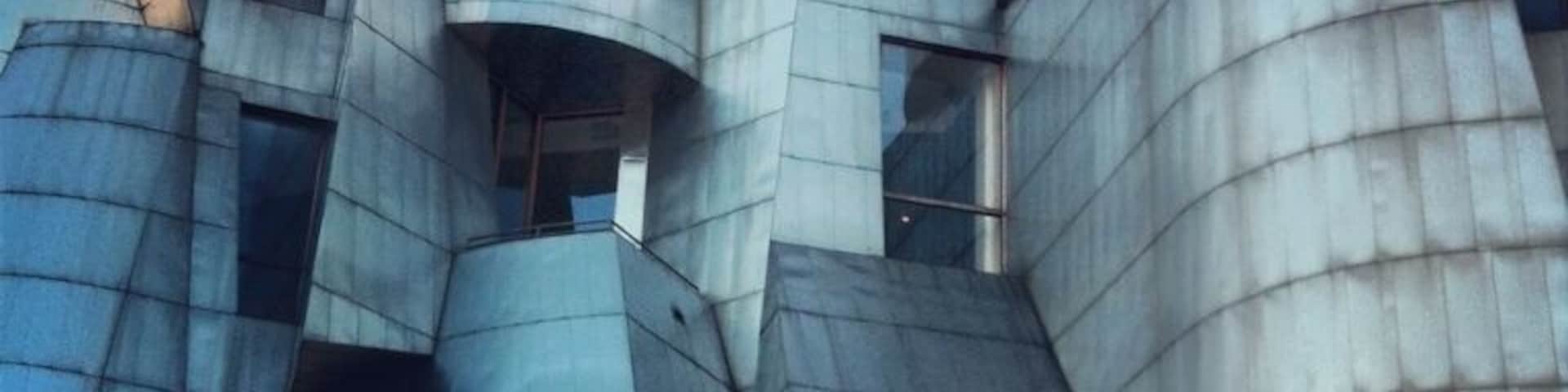 The Weisman Art Museum on the U of M campus, overlooking the Mississippi River. Designed by Frank Gehry. www.bradleyhanson.com