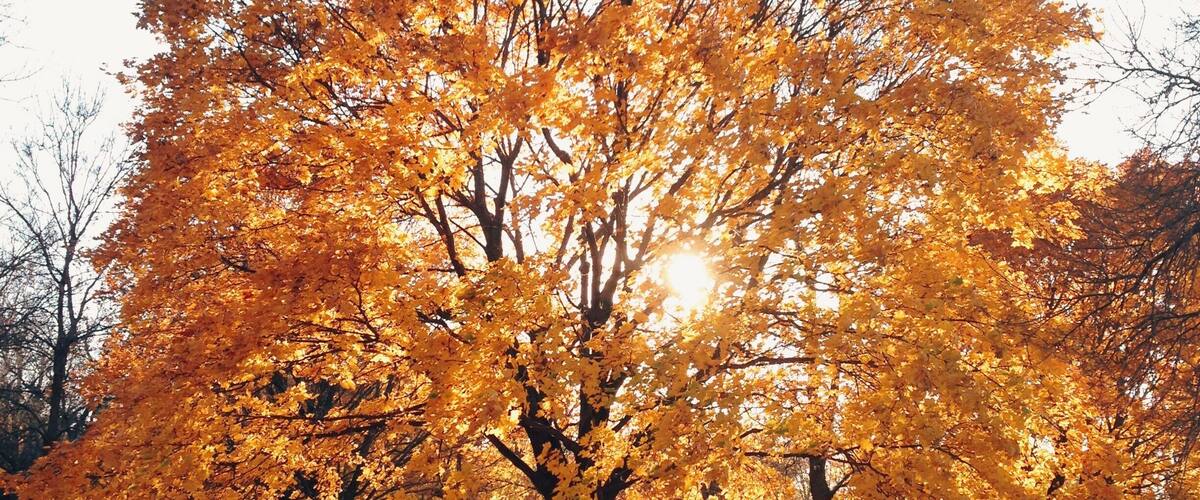 Perfect late fall day biking from Lake Hiawatha to Lake Nokomis. www.bradleyhanson.com bradleyhanson.vsco.co