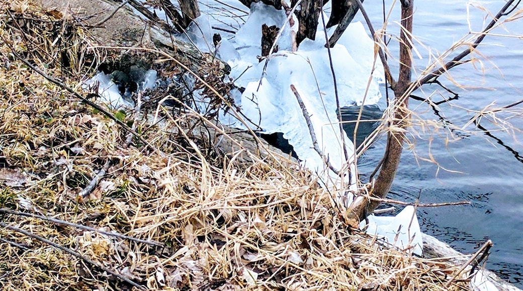 Ice can't quite let go of Lake Nokomis.