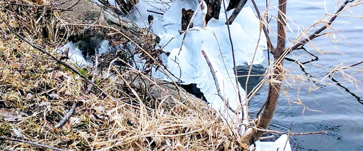 Ice can't quite let go of Lake Nokomis.