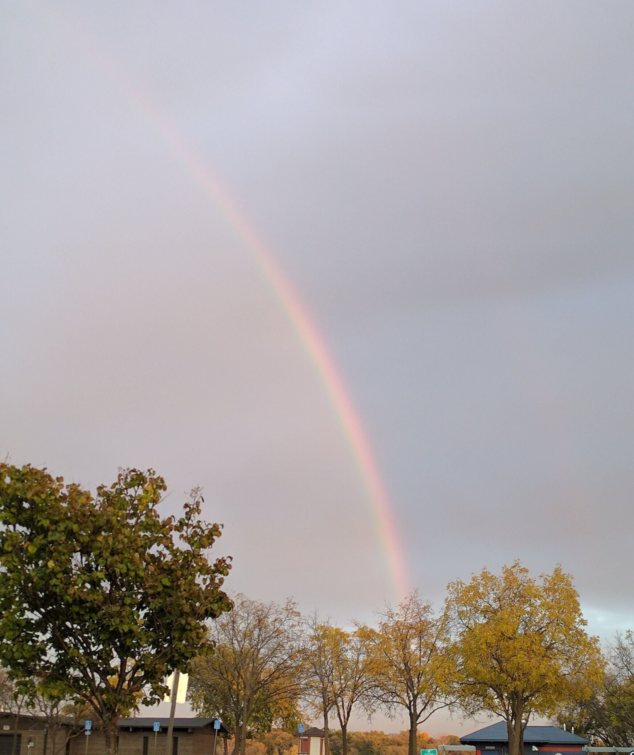 Saturday evening. Just enough rain to make a rainbow 