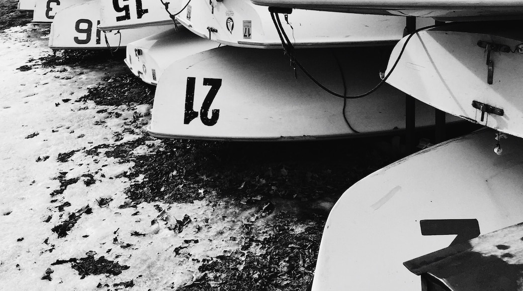 Rental canoes at Lake Calhoun in Minneapolis