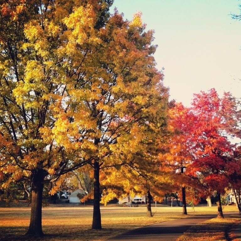 Autumn colors along the Minnehaha Creek bicycle path in Minneapolis. www.bradleyhanson.com
