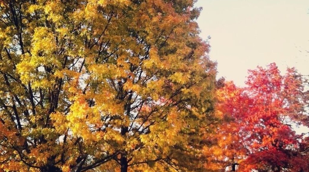 Autumn colors along the Minnehaha Creek bicycle path in Minneapolis. www.bradleyhanson.com