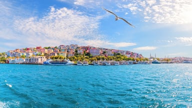 Asian part of Istanbul, beautiful Turkish panorama