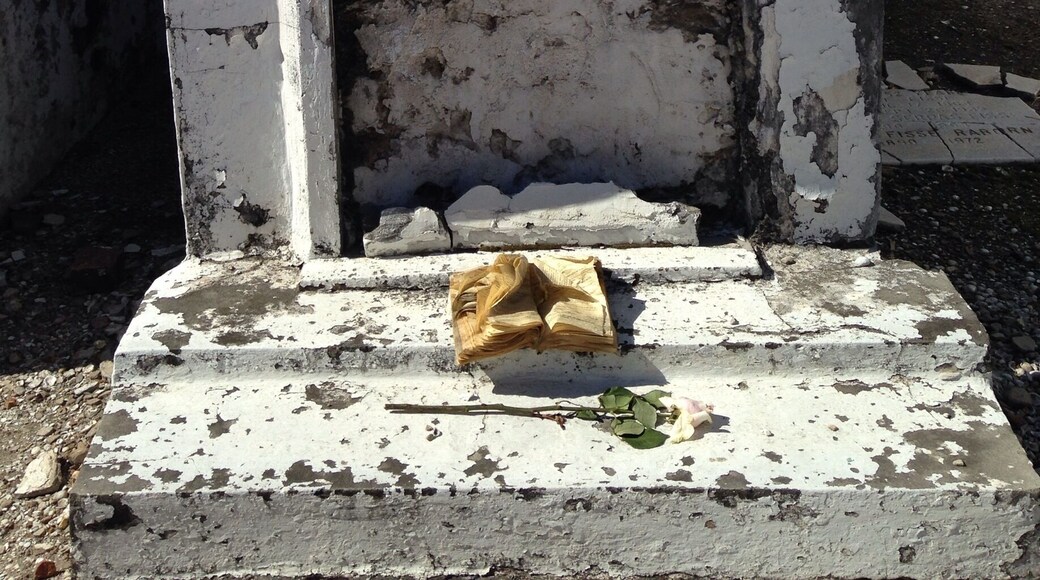 The graves in the NOLA cemeteries are eerie and beautiful at the same time.